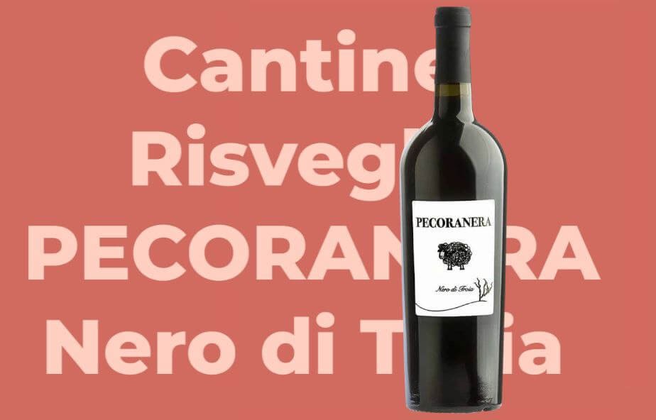 Cantine Risveglio PECORANERA Nero di Troia Puglia